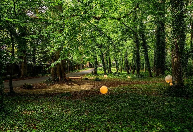 בית מלון כפרי Summerhill House