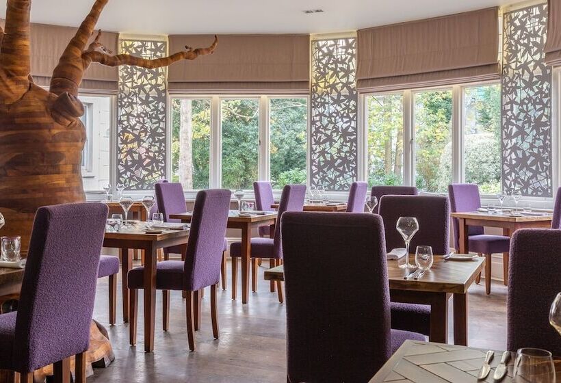 酒店 The Green House