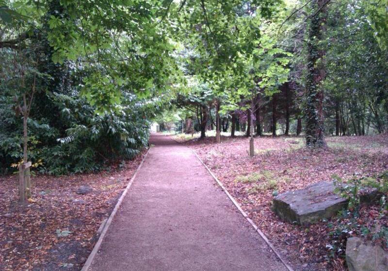 ホテル The Lucan Spa