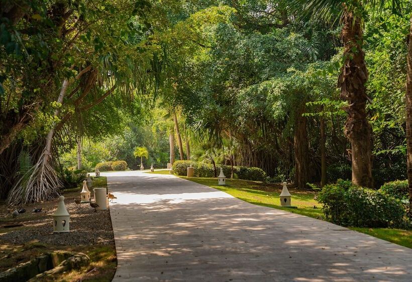 酒店 Tropical Deluxe Princess - All Inclusive