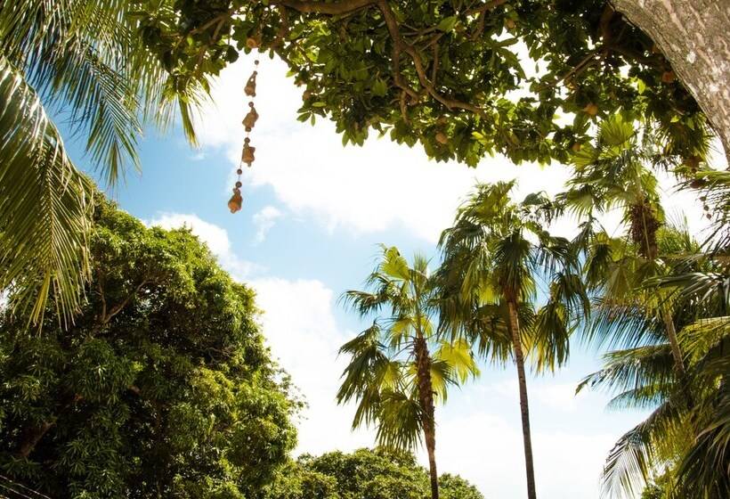 בית מלון כפרי Tubarão