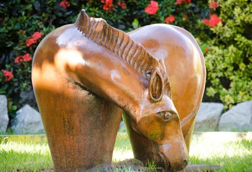 בית מלון כפרי Tubarão