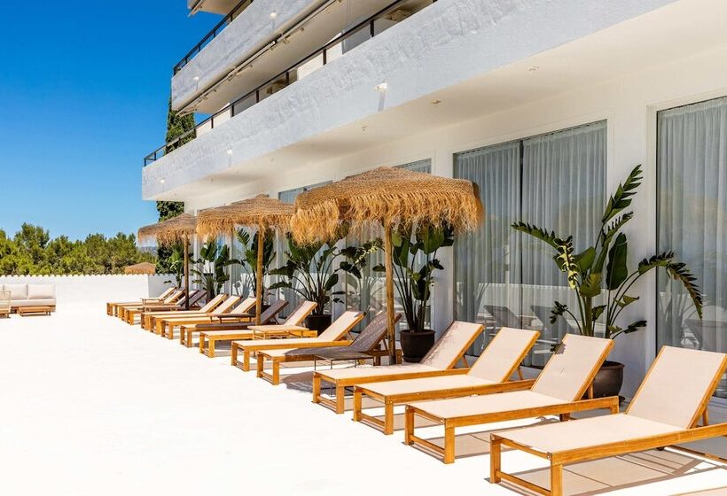 فندق Victoria Sunset Suites