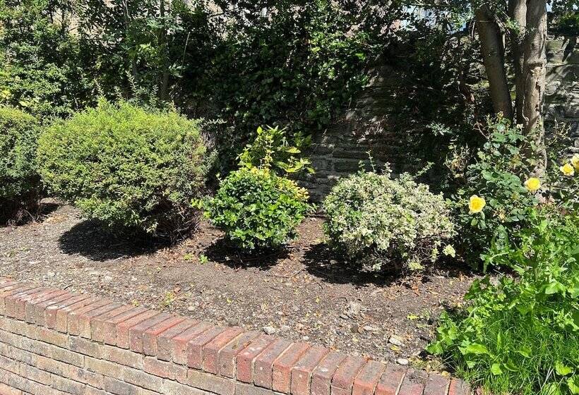 호텔 Waterloo Town House & Suites