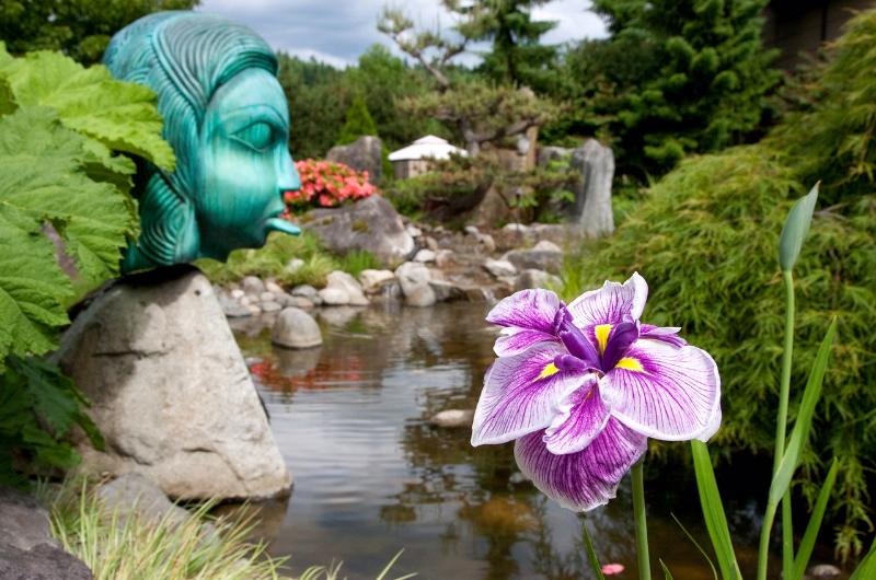 Отель Willows Lodge