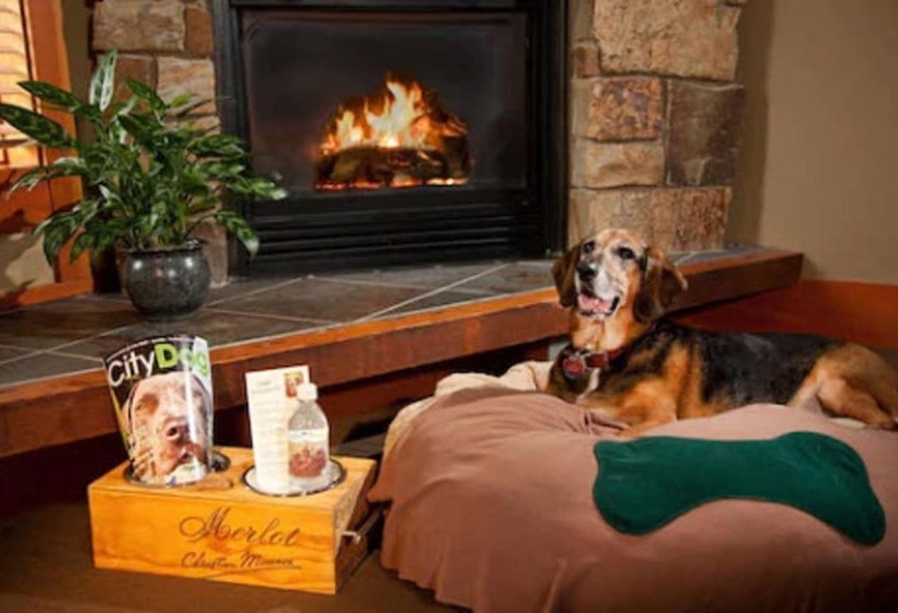 Отель Willows Lodge