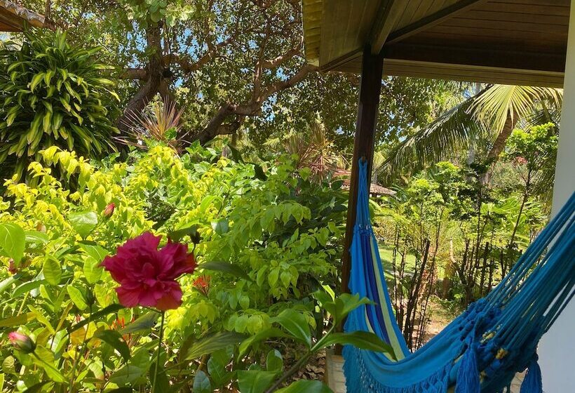 渡假胜地 Casablanca