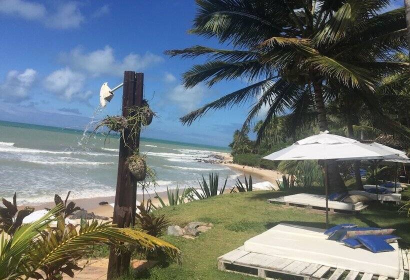 渡假胜地 Casablanca