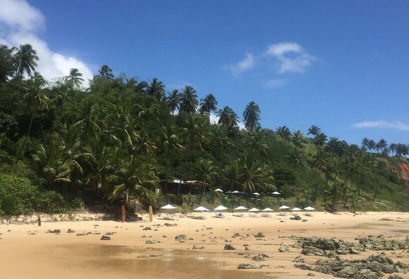 渡假胜地 Casablanca