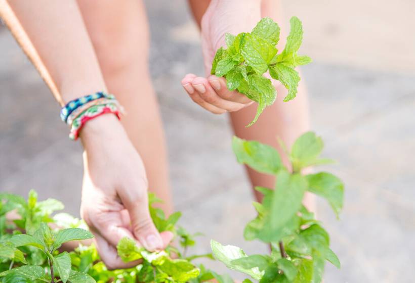 Roc Portonova Apartaments