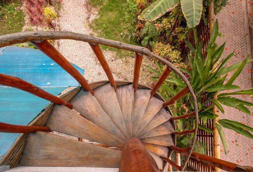 هاستل Casa Del Sol