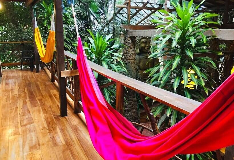 هاستل Casa Del Sol