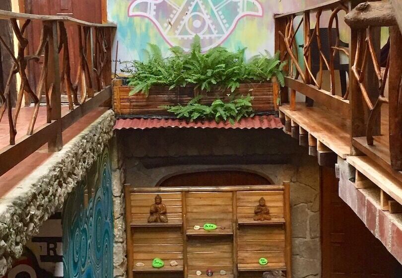 هاستل Casa Del Sol