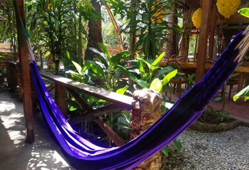 هاستل Casa Del Sol