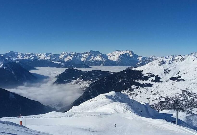 هاستل Edelweiss