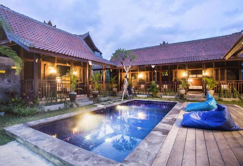 هاستل Elementsbnb