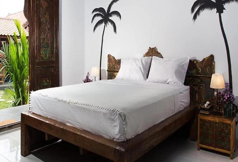 هاستل Elementsbnb