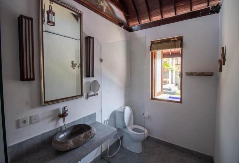 هاستل Elementsbnb