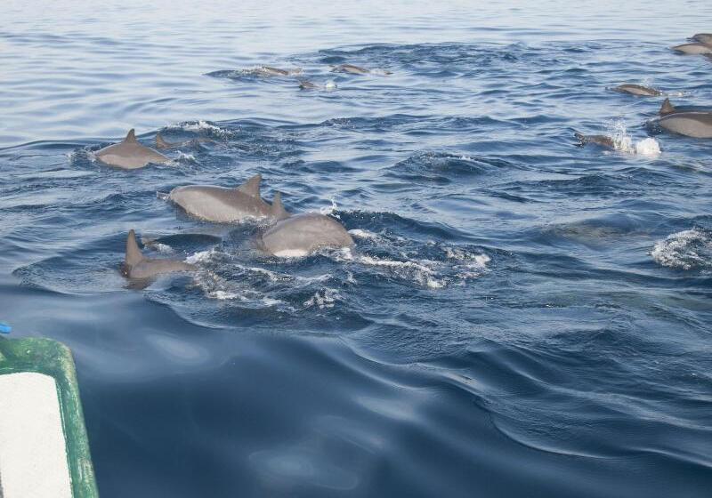 הוסטל Funkyplace