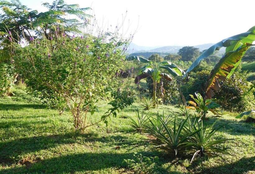 فندق صغير Hostal Casa Las Lajas