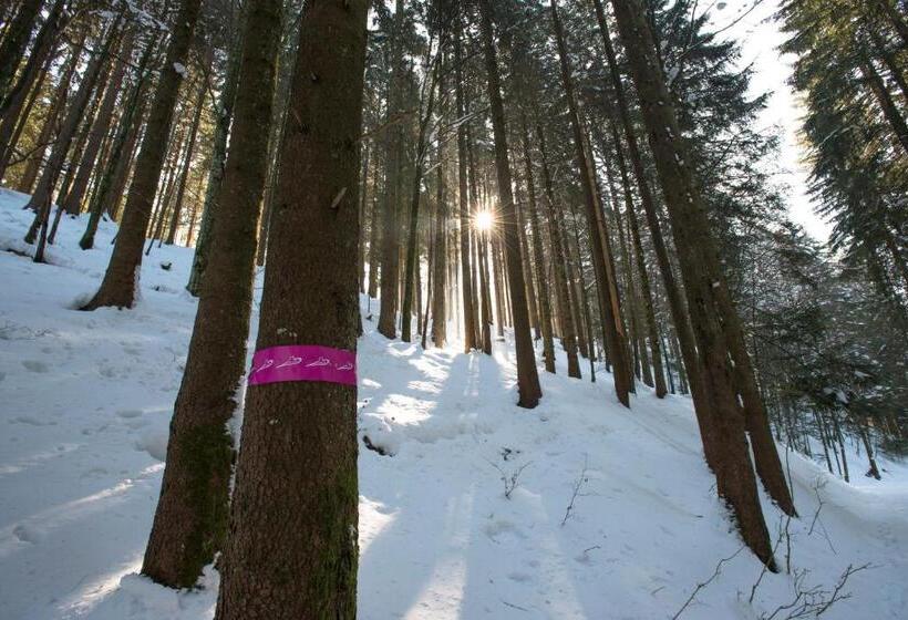 ユースホステル Waldgasthaus Lehmen