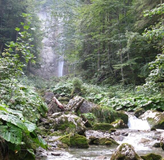 ユースホステル Waldgasthaus Lehmen