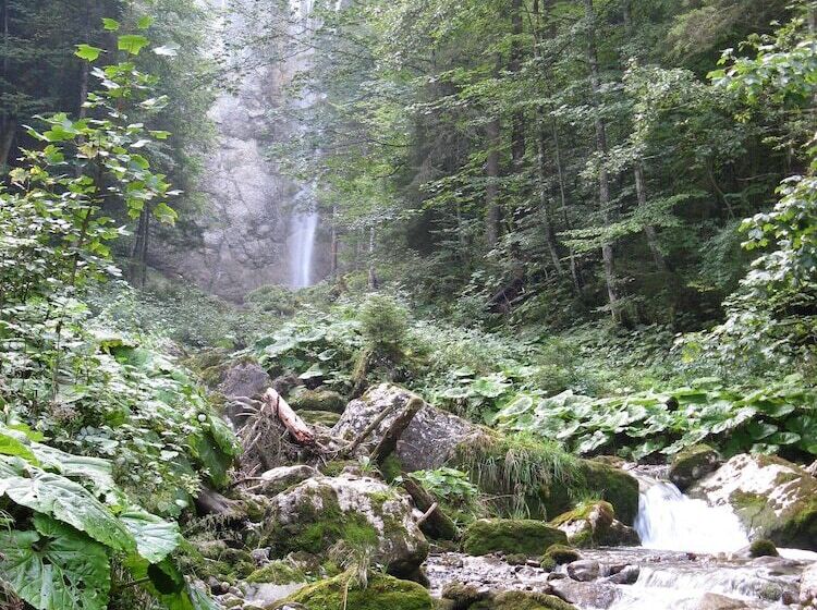 ユースホステル Waldgasthaus Lehmen