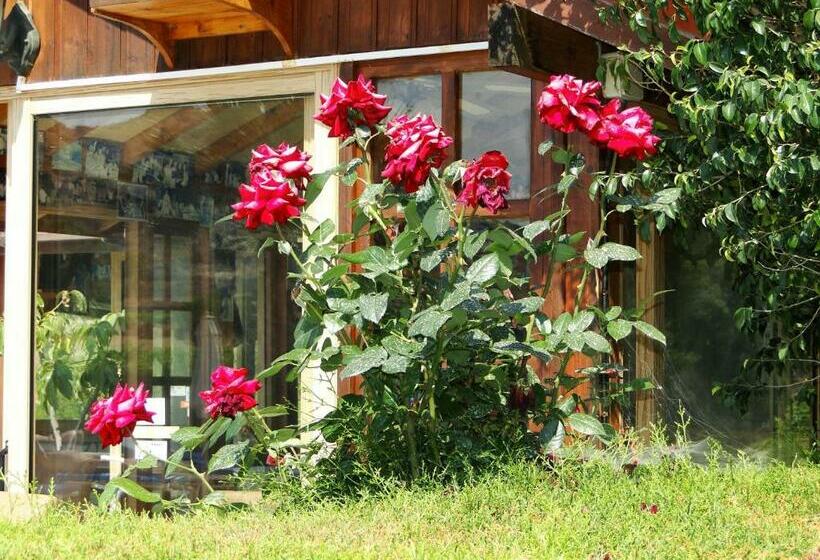 Ampelokipi Holiday Apartments