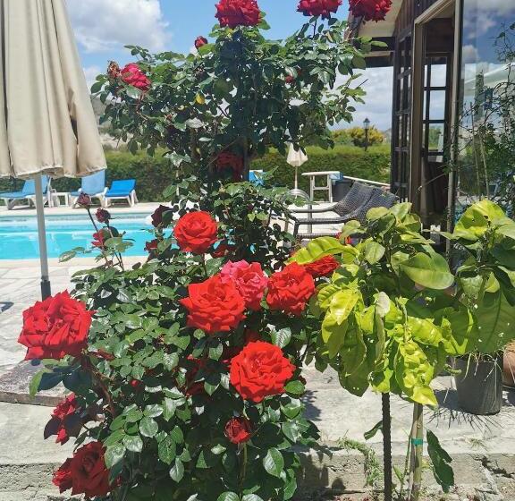 Ampelokipi Holiday Apartments