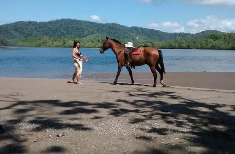 مبيت وإفطار Casa El Tortugo