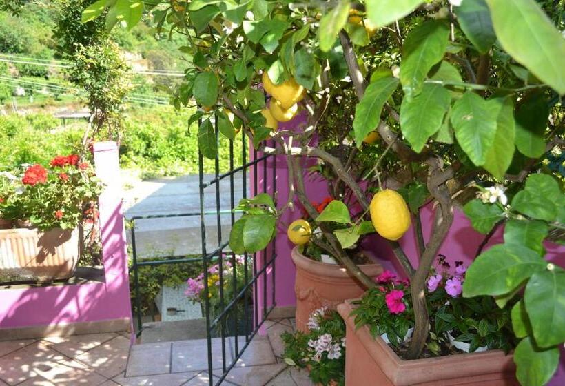 צימר Casa Nobile