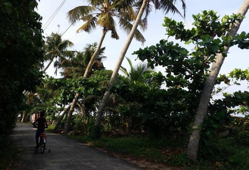 تختخواب و صبحانه Funky Art Beach House