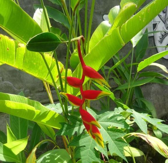 Nocleg ze śniadaniem Murnis Bungalow