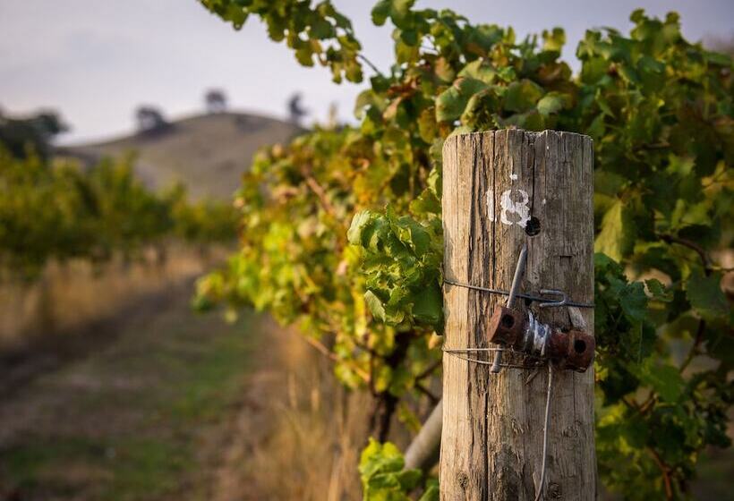 Blue House At Mountainside Wines