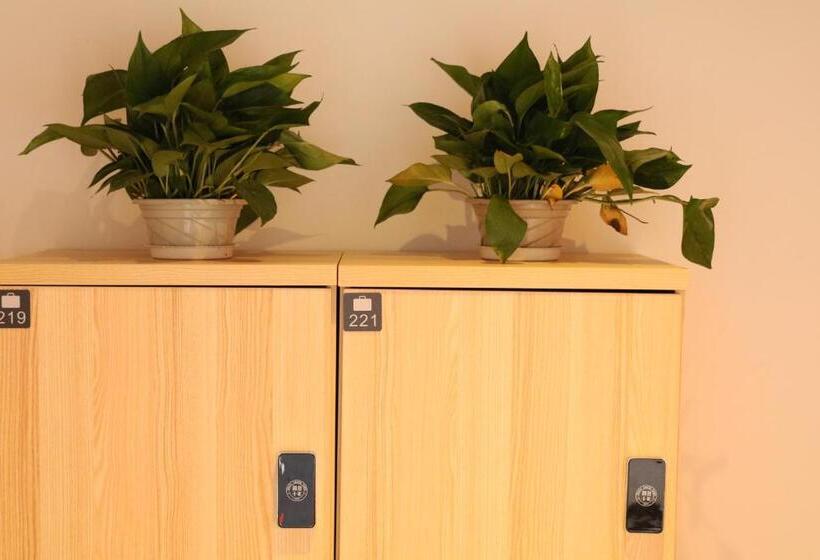 Lijiang Desti Youth Park Hostel