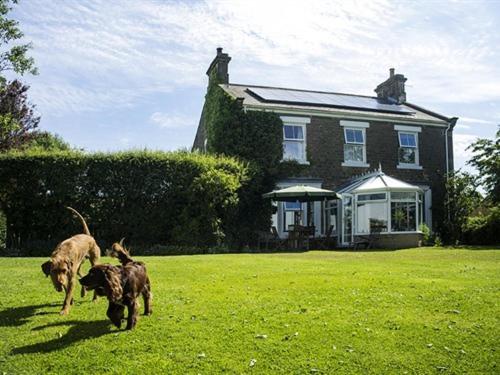 Dowfold House Bed And Breakfast