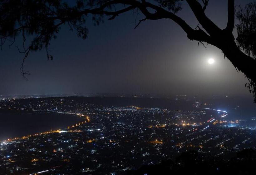 Dream Views At Arthurs Seat B & B