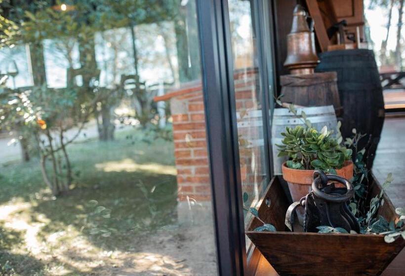 هتل Borgo Il Poggio Agritourismo