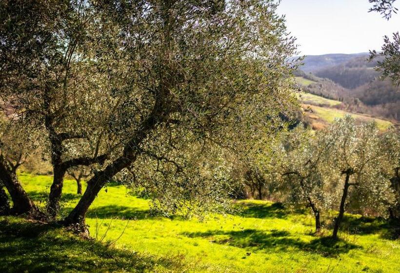 هتل Borgo Il Poggio Agritourismo