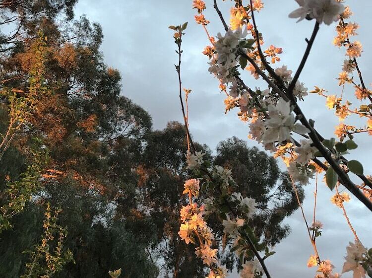 فندق Bundalong Holiday Resort