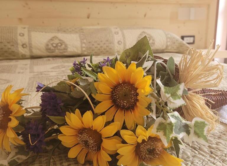 酒店 Chalet Monte Nebius