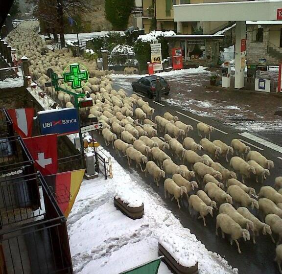 ホテル Chalet Monte Nebius