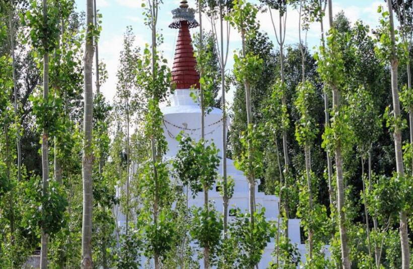 Отель Gomang Boutique