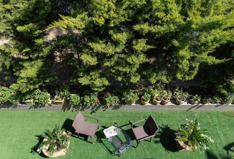 فندق Rock Regency Mount Abu  A Boutique Rodetel