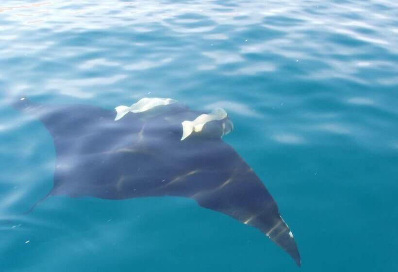 호텔 Ventana Bay Resort