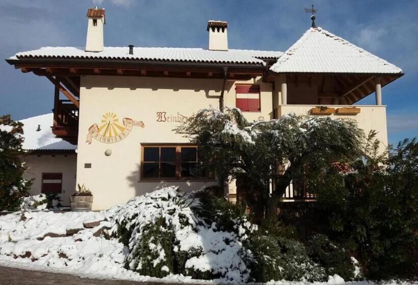 Отель Weinberghof
