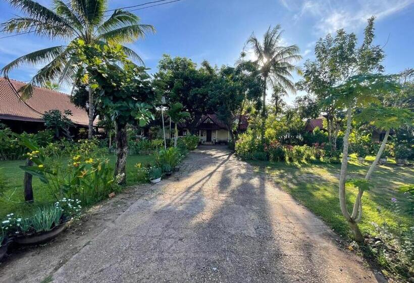 Pension Anouxa Riverview Guesthouse