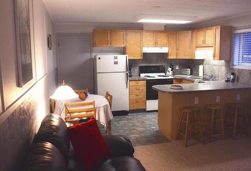 بنسيون Dave & Honey's Accommodation