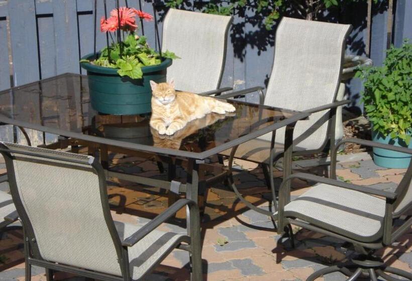 Panzió Dave & Honey's Accommodation