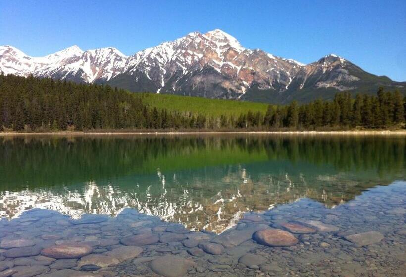 بنسيون Dave & Honey's Accommodation